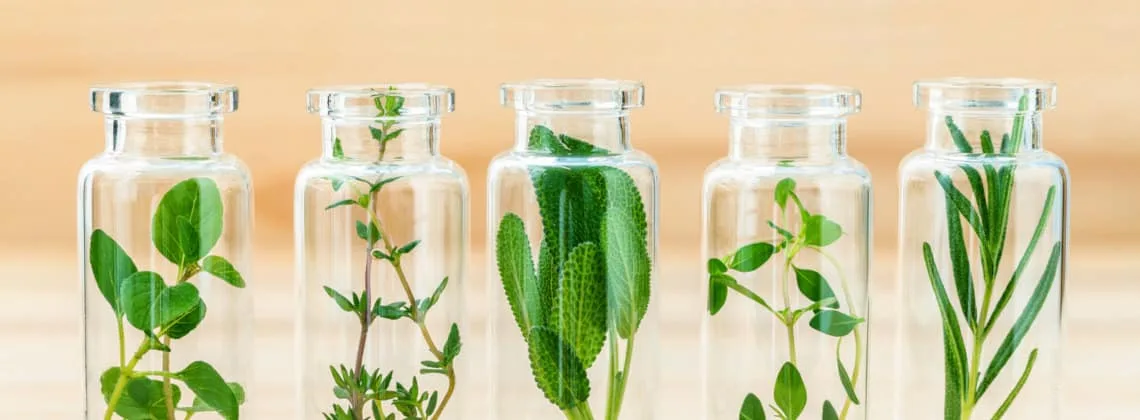Essential oil bottles with fresh botanicals
