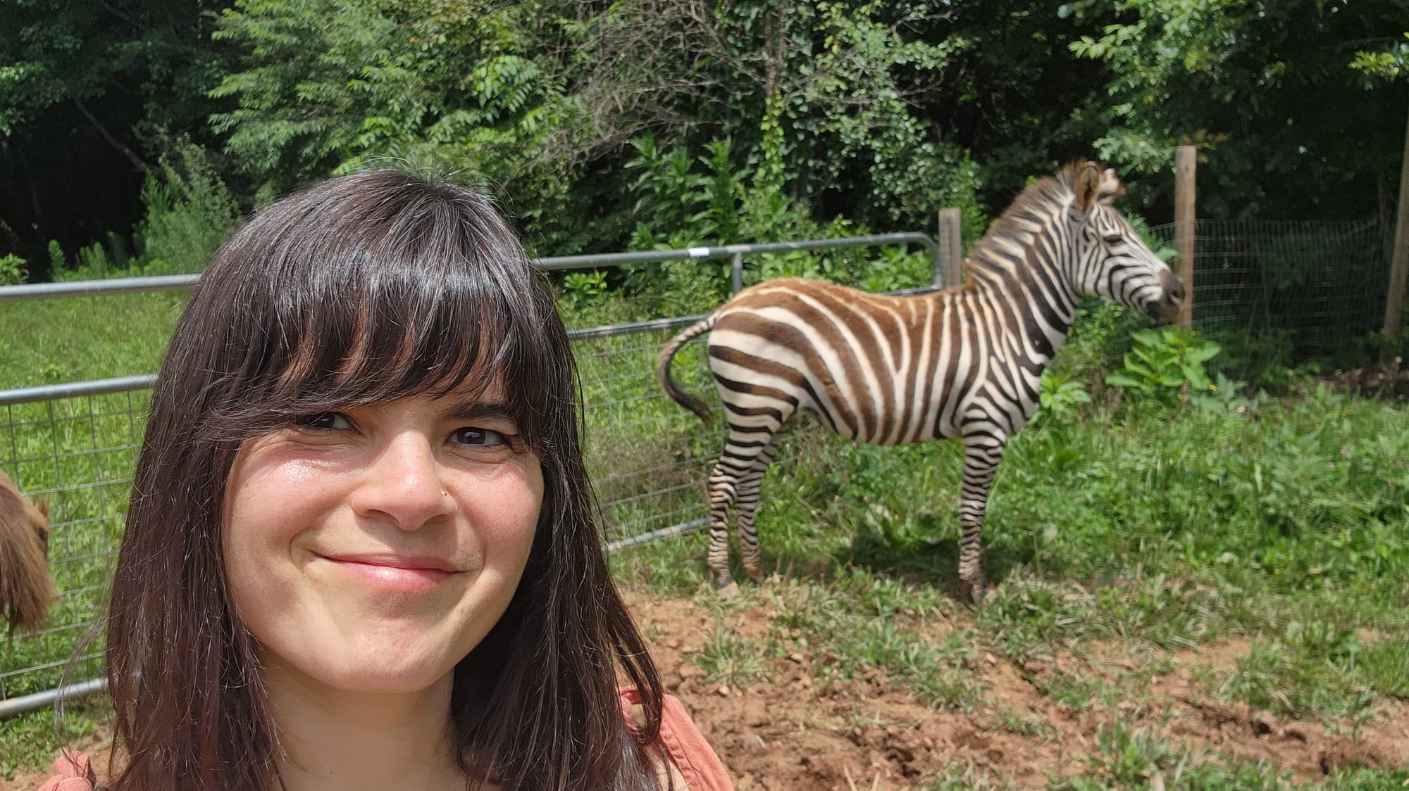 Briana with a zebra at a local farm
